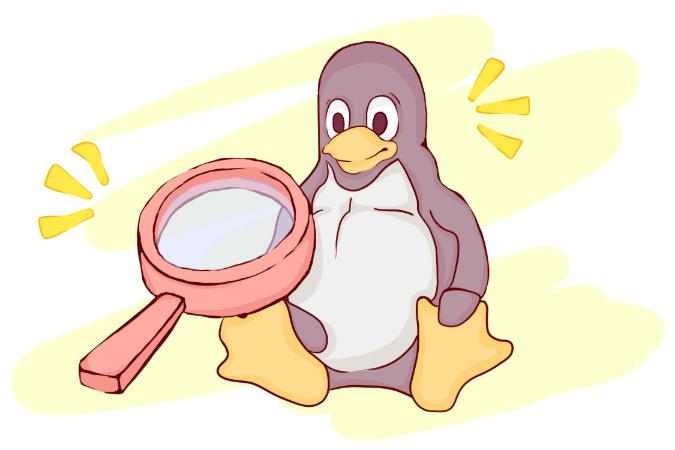 hur kollar man ip adressen i linux